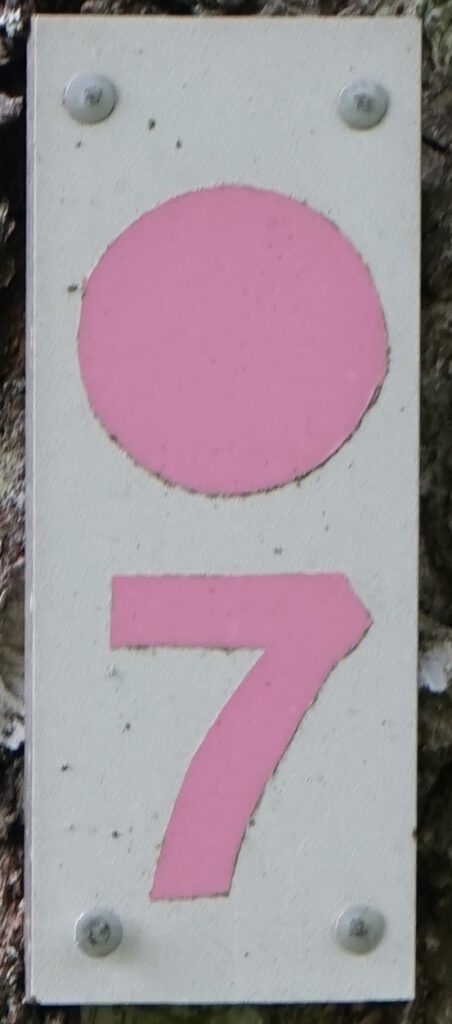 Taben-Rodt, Rundwanderweg7, Markierung