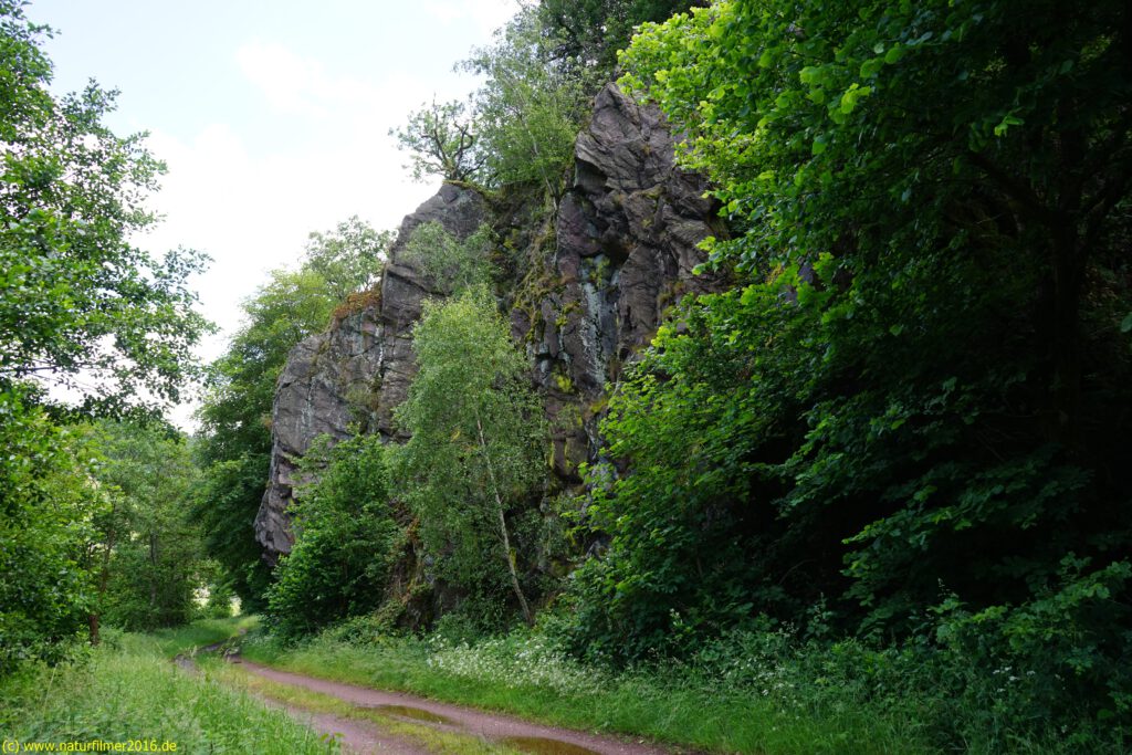 Taben-Rodt Rundwanderweg 6, Saarradweg, Felsformation, Taben-Urwald, Naturwaldreservat