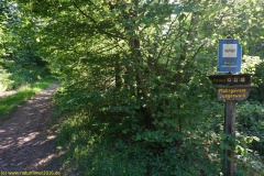 20200528_taben_rundwanderweg1_4000er-10