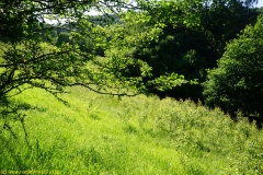 20200528_taben_rundwanderweg1_4000er-11