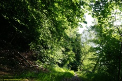 20200528_taben_rundwanderweg1_4000er-12