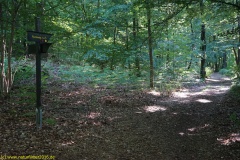 20200528_taben_rundwanderweg1_4000er-15