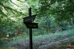 20200528_taben_rundwanderweg1_4000er-16