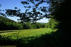 20200528_taben_rundwanderweg1_4000er-17