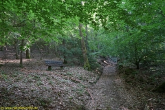 20200528_taben_rundwanderweg1_4000er-18