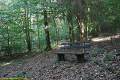 20200528_taben_rundwanderweg1_4000er-19