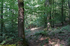 20200528_taben_rundwanderweg1_4000er-20