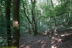 20200528_taben_rundwanderweg1_4000er-21