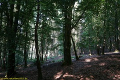 20200528_taben_rundwanderweg1_4000er-22