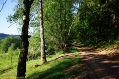 20200528_taben_rundwanderweg1_4000er-27