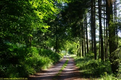 20200528_taben_rundwanderweg1_4000er-7