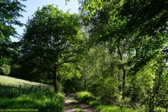 20200528_taben_rundwanderweg1_4000er-8