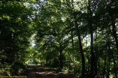 20200528_taben_rundwanderweg1_4000er-9