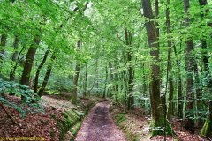 20200613_taben_rundwanderweg2_3000er-10