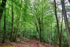 20200613_taben_rundwanderweg2_3000er-11