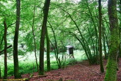 20200613_taben_rundwanderweg2_3000er-12