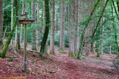 20200613_taben_rundwanderweg2_3000er-13