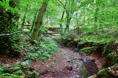 20200613_taben_rundwanderweg2_3000er-14