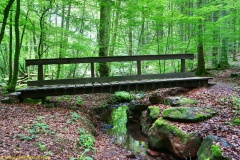 20200613_taben_rundwanderweg2_3000er-15