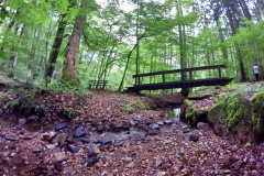 DCIM\101GOPRO\GOPR0097.