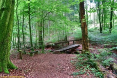 20200613_taben_rundwanderweg2_3000er-17