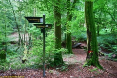 20200613_taben_rundwanderweg2_3000er-18