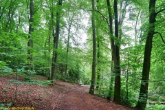 20200613_taben_rundwanderweg2_3000er-20