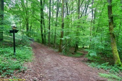 20200613_taben_rundwanderweg2_3000er-21