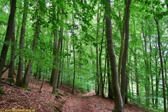 20200613_taben_rundwanderweg2_3000er-23