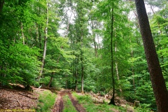 20200613_taben_rundwanderweg2_3000er-24