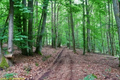 20200613_taben_rundwanderweg2_3000er-25