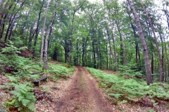 DCIM\101GOPRO\GOPR0087.