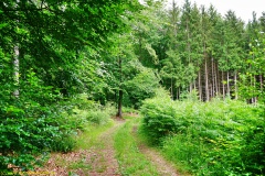 20200613_taben_rundwanderweg2_3000er-27