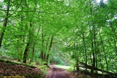 20200613_taben_rundwanderweg2_3000er-9