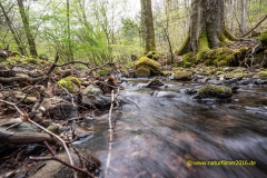 20220423_Wanderweg2_Breinsbach_03_3000er_Meta