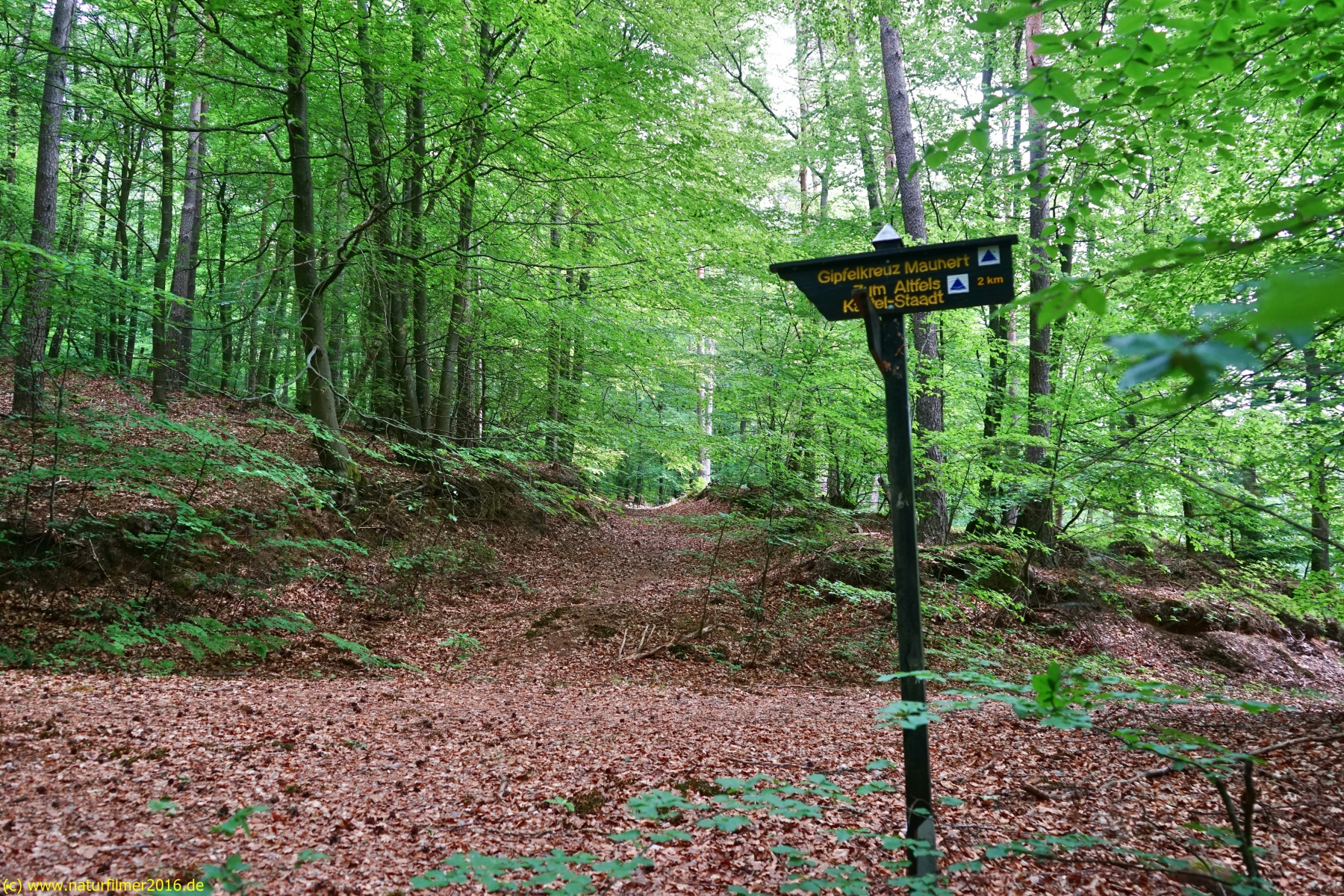 20200522_taben_rundwanderweg3_Color_4000er-11