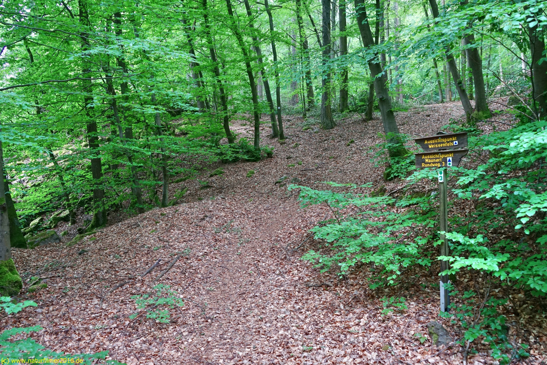 20200522_taben_rundwanderweg3_Color_4000er-12