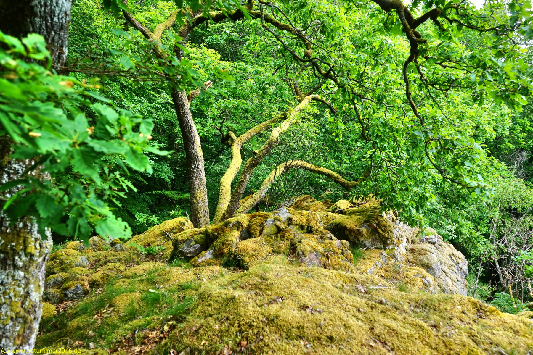 20200522_taben_rundwanderweg3_Color_4000er-14