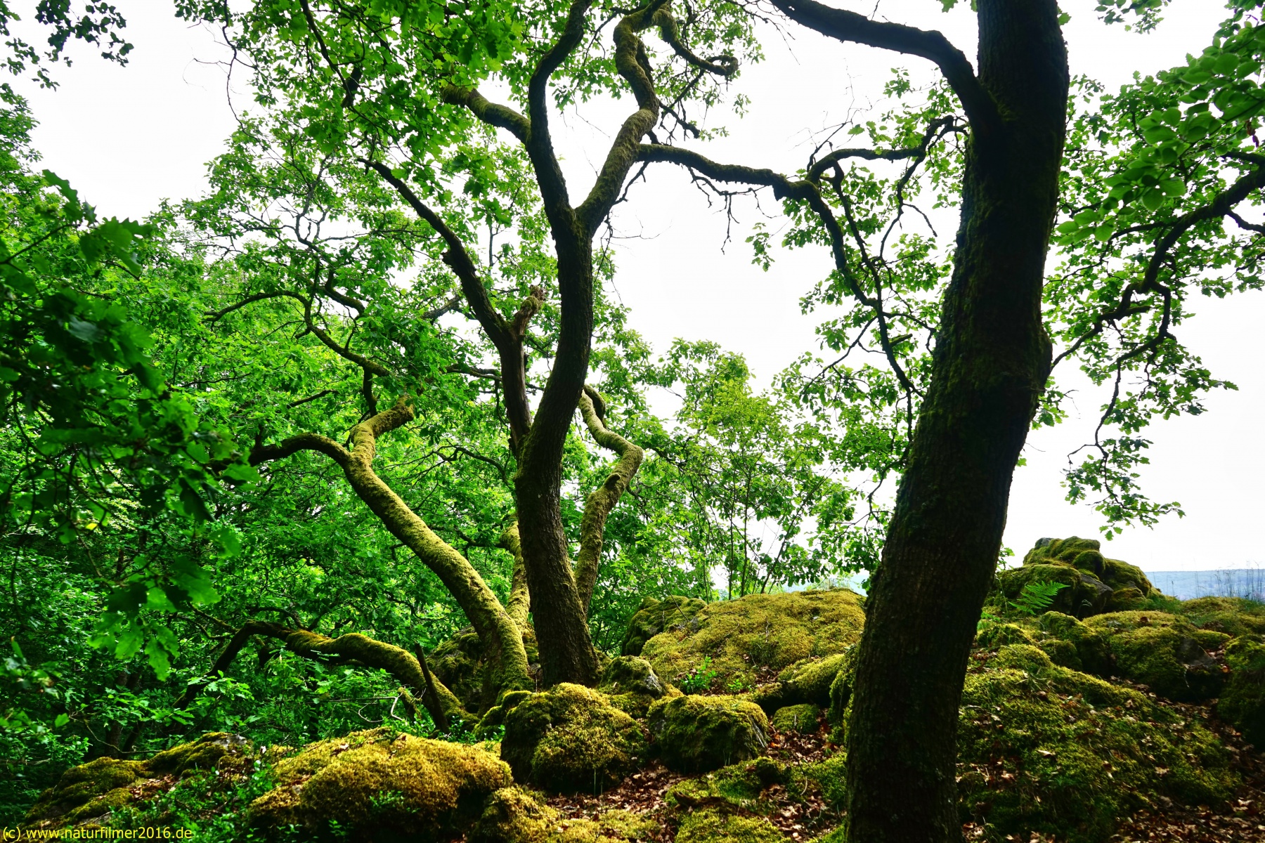 20200522_taben_rundwanderweg3_Color_4000er-15