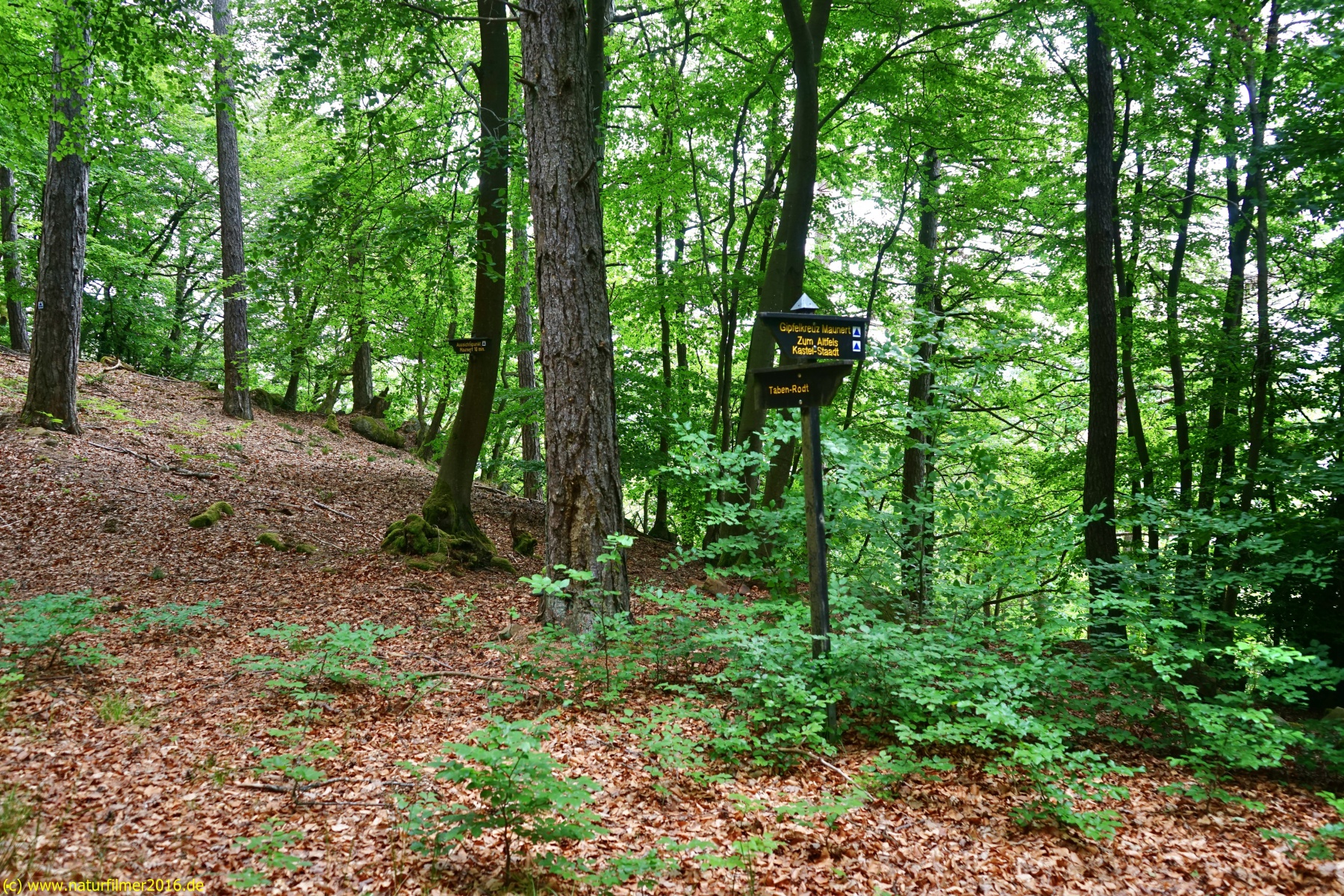 20200522_taben_rundwanderweg3_Color_4000er-16