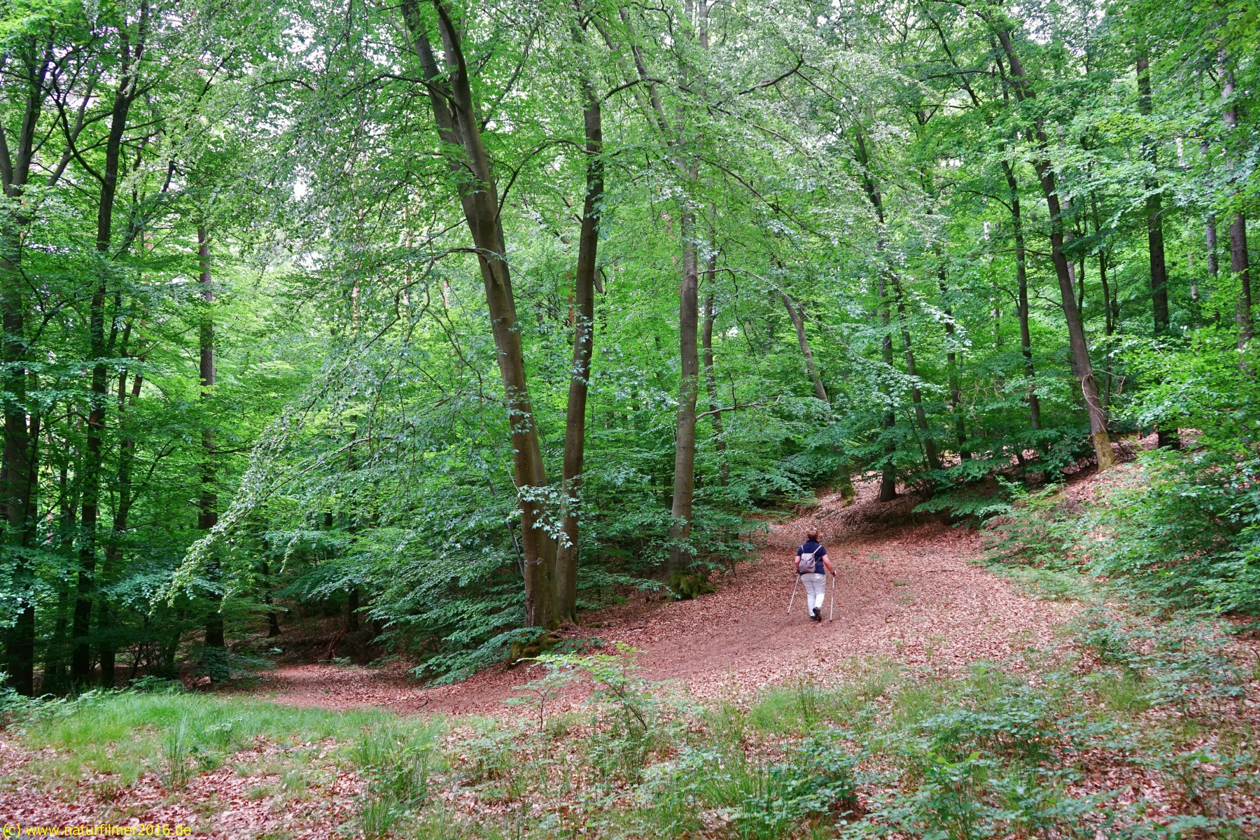 20200522_taben_rundwanderweg3_Color_4000er-17