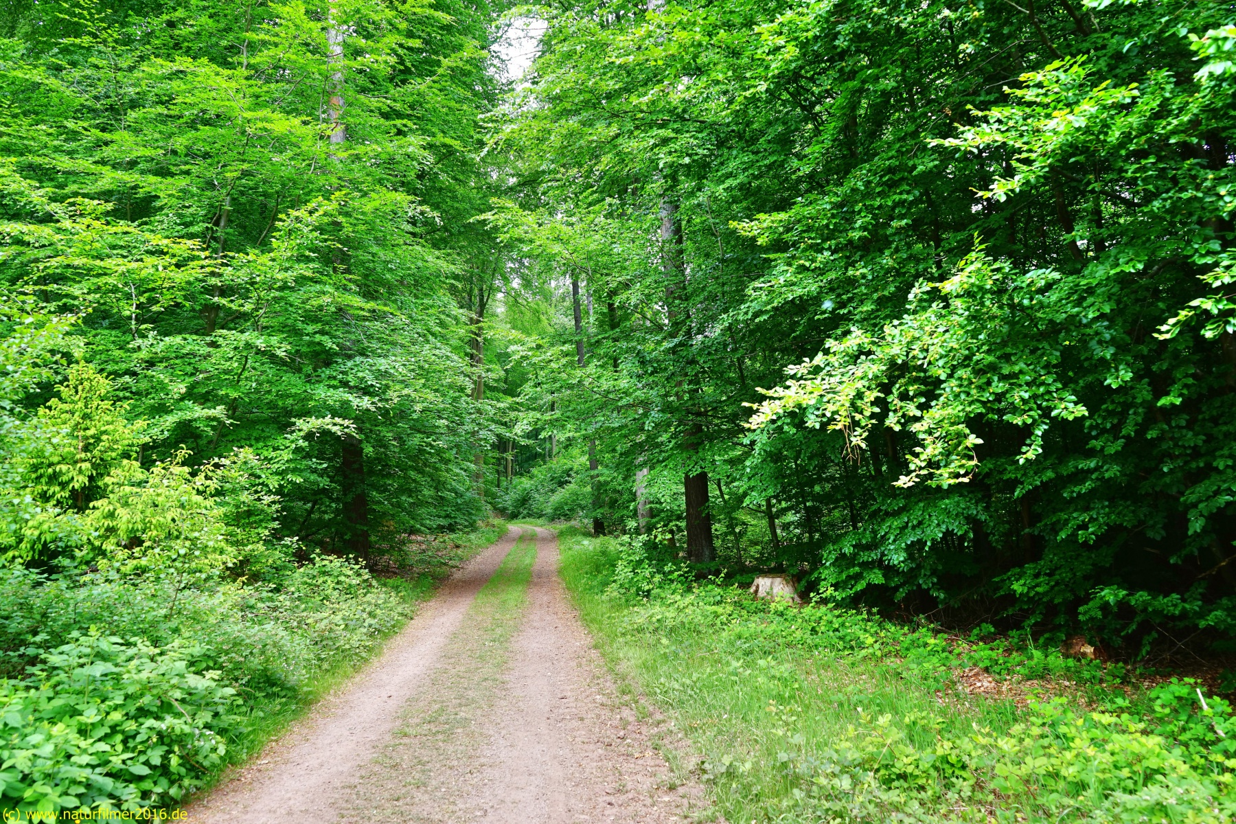 20200522_taben_rundwanderweg3_Color_4000er-19