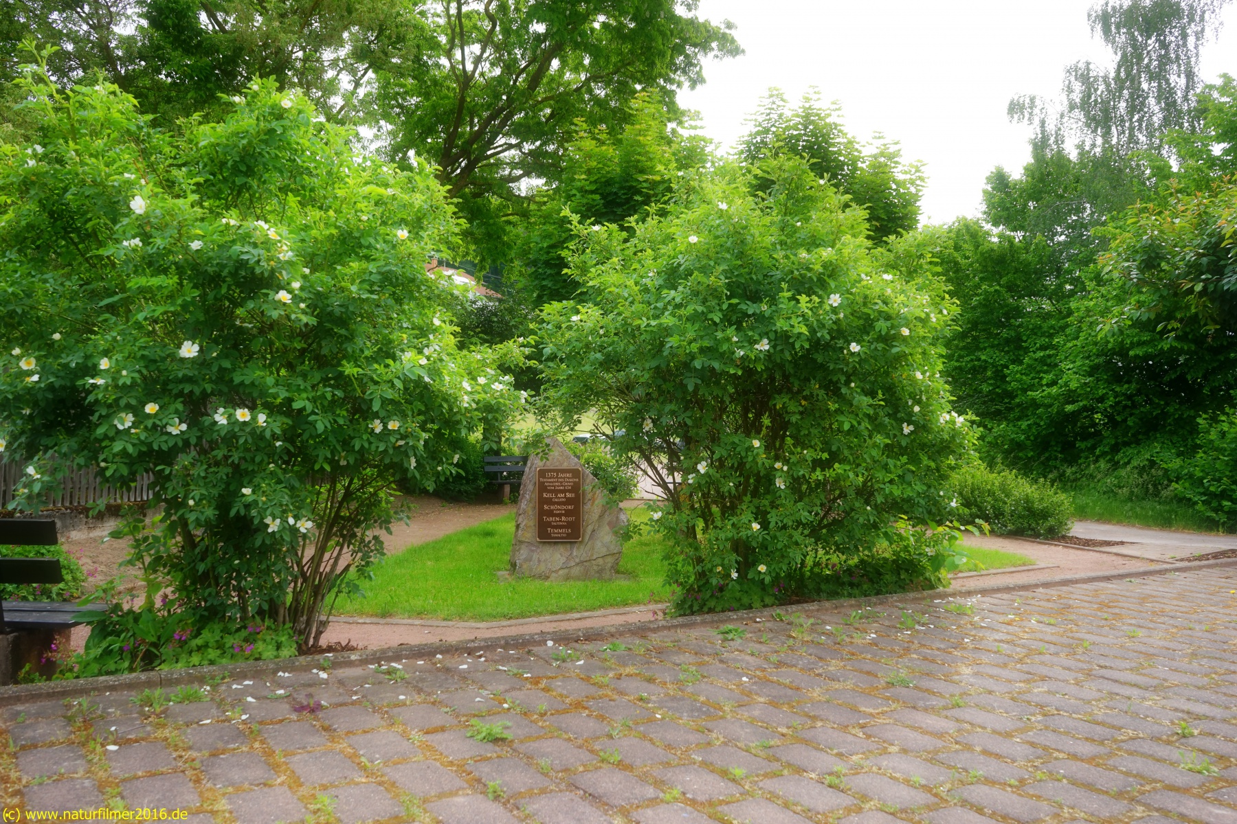 20200522_taben_rundwanderweg3_Color_4000er-2