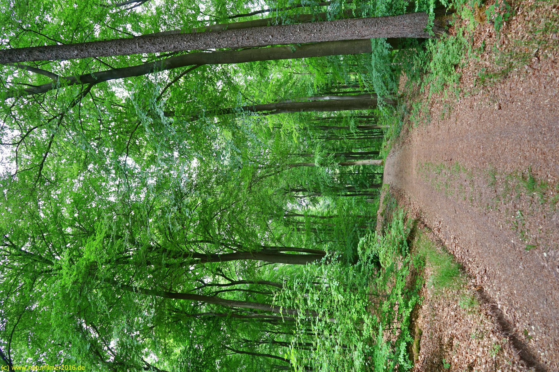 20200522_taben_rundwanderweg3_Color_4000er-21