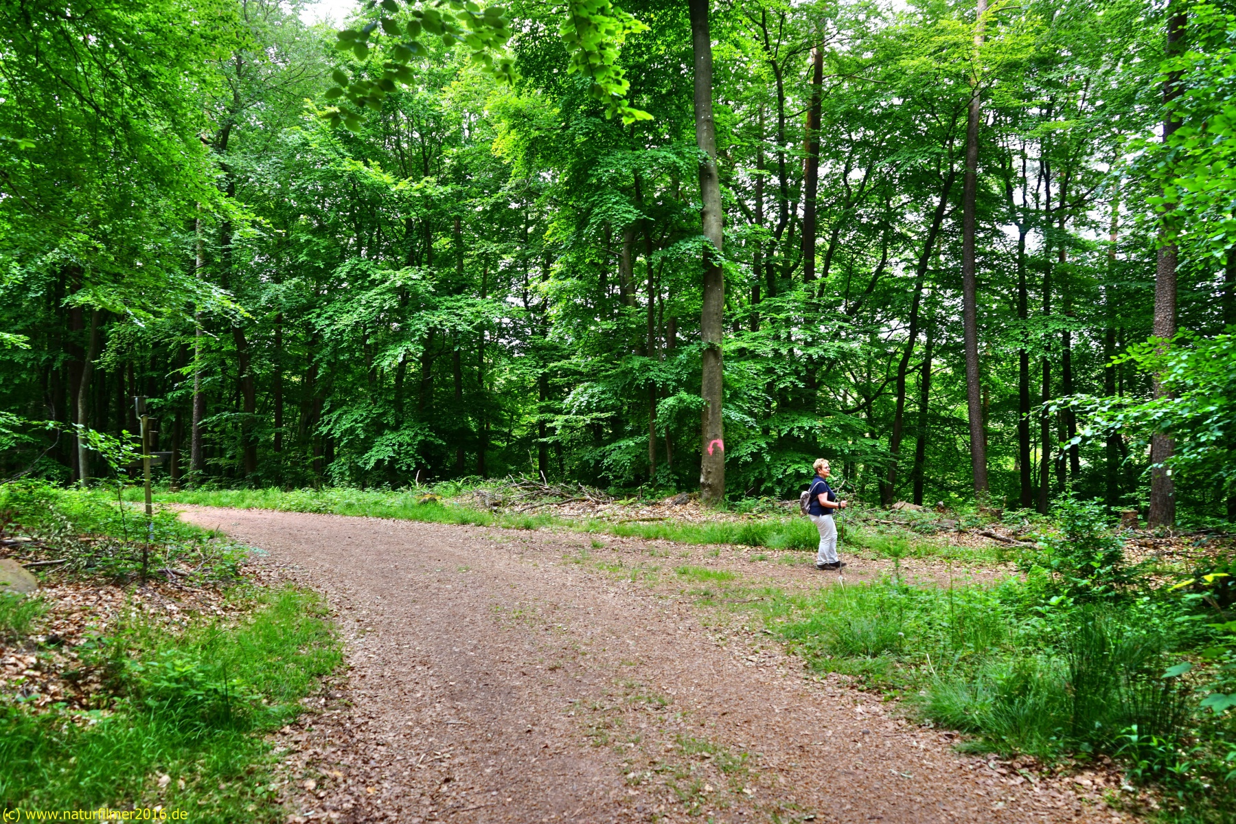 20200522_taben_rundwanderweg3_Color_4000er-22