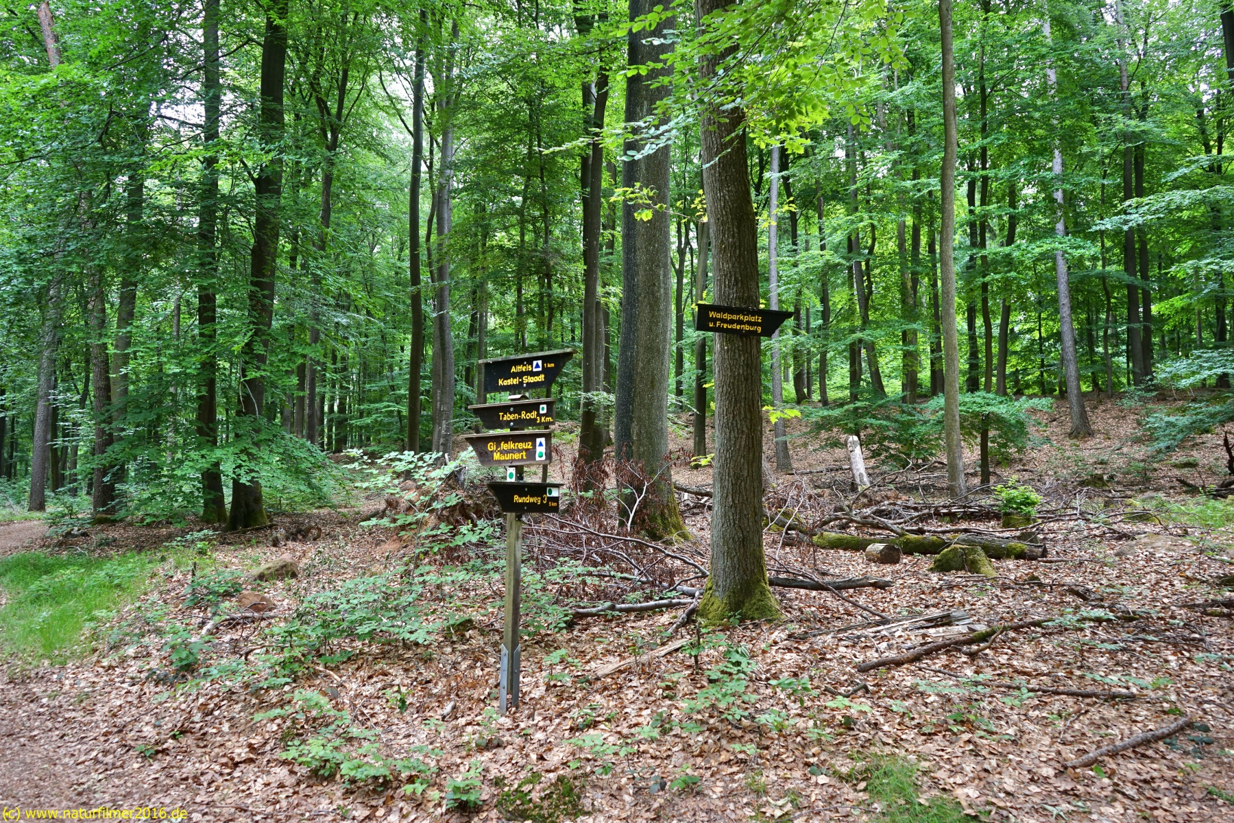 20200522_taben_rundwanderweg3_Color_4000er-23