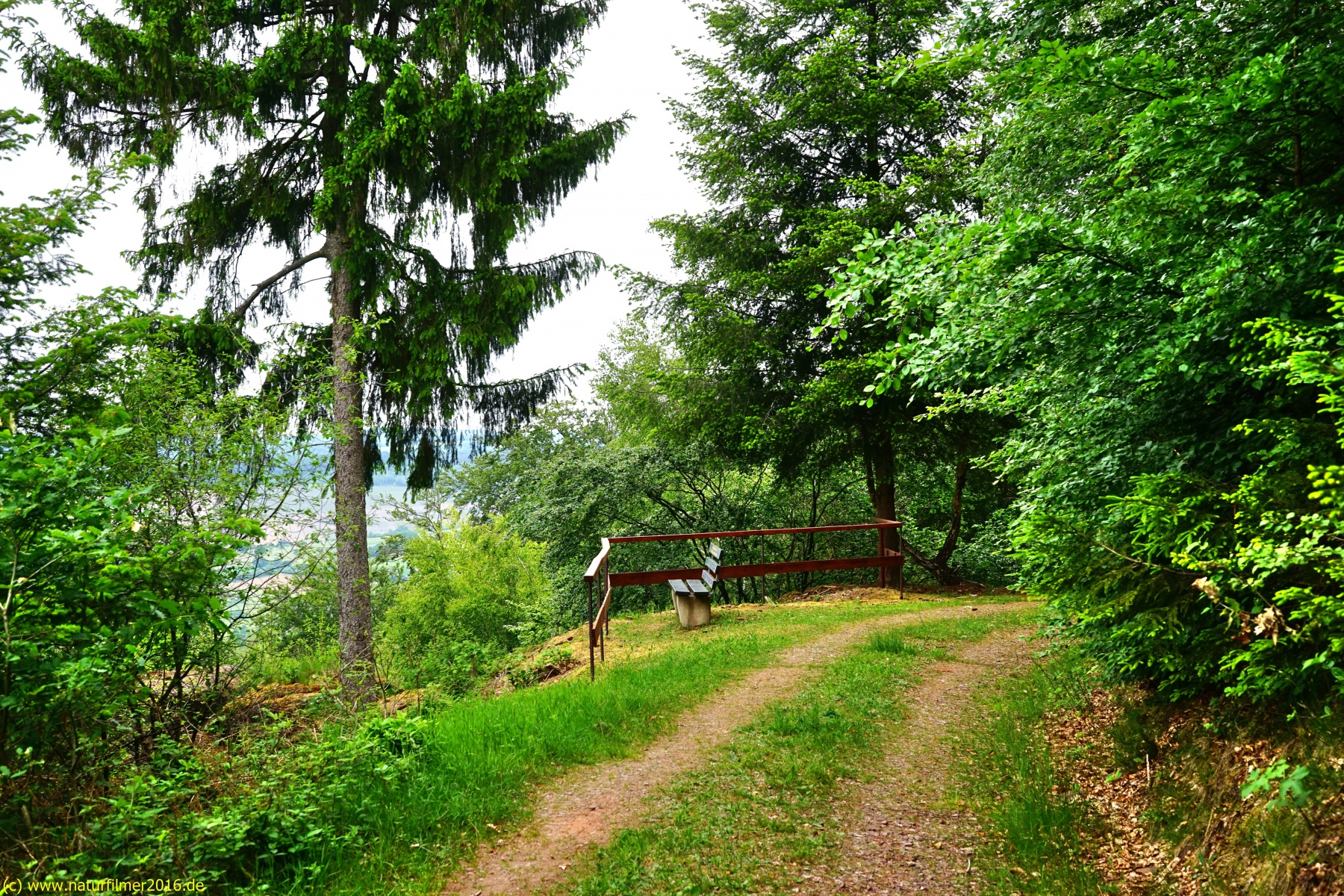 20200522_taben_rundwanderweg3_Color_4000er-25