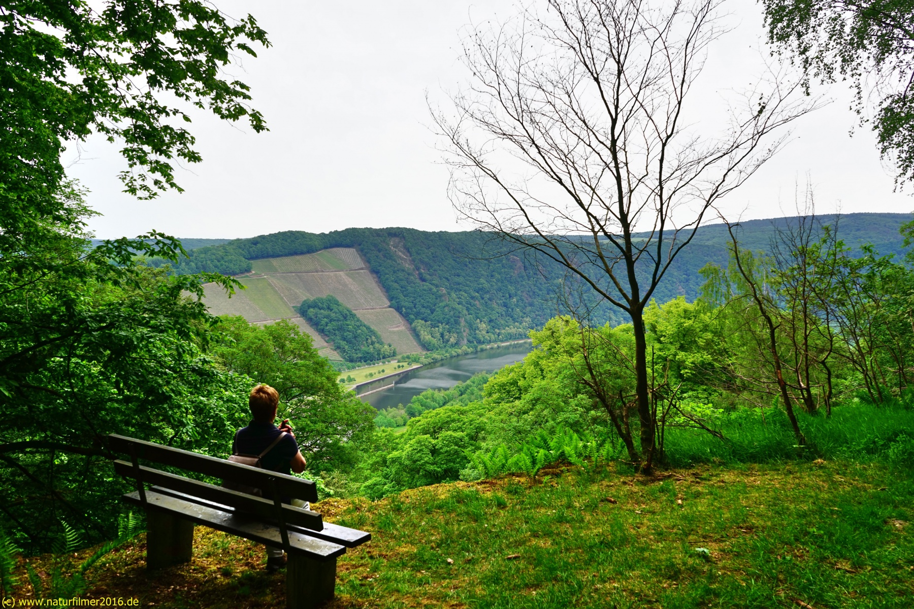 20200522_taben_rundwanderweg3_Color_4000er-28