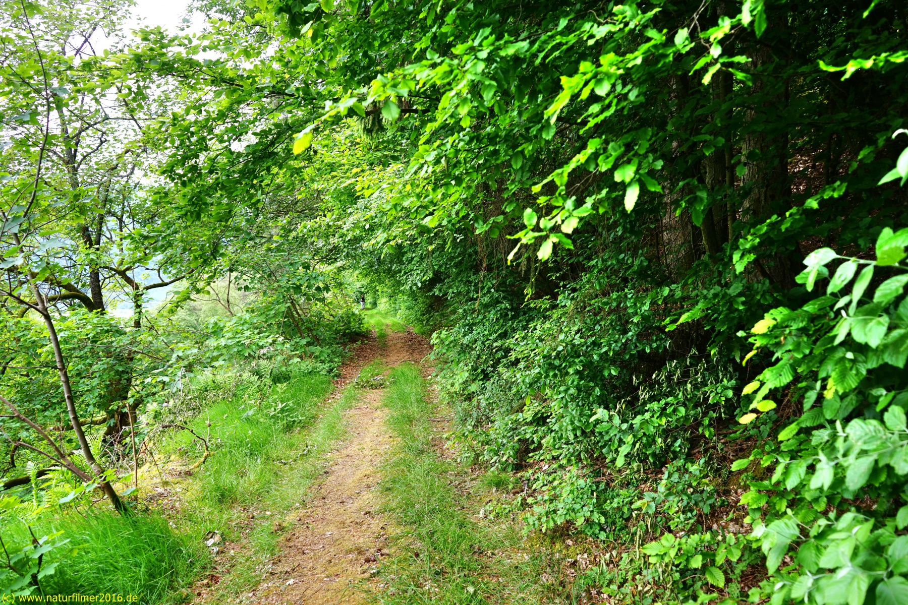 20200522_taben_rundwanderweg3_Color_4000er-31