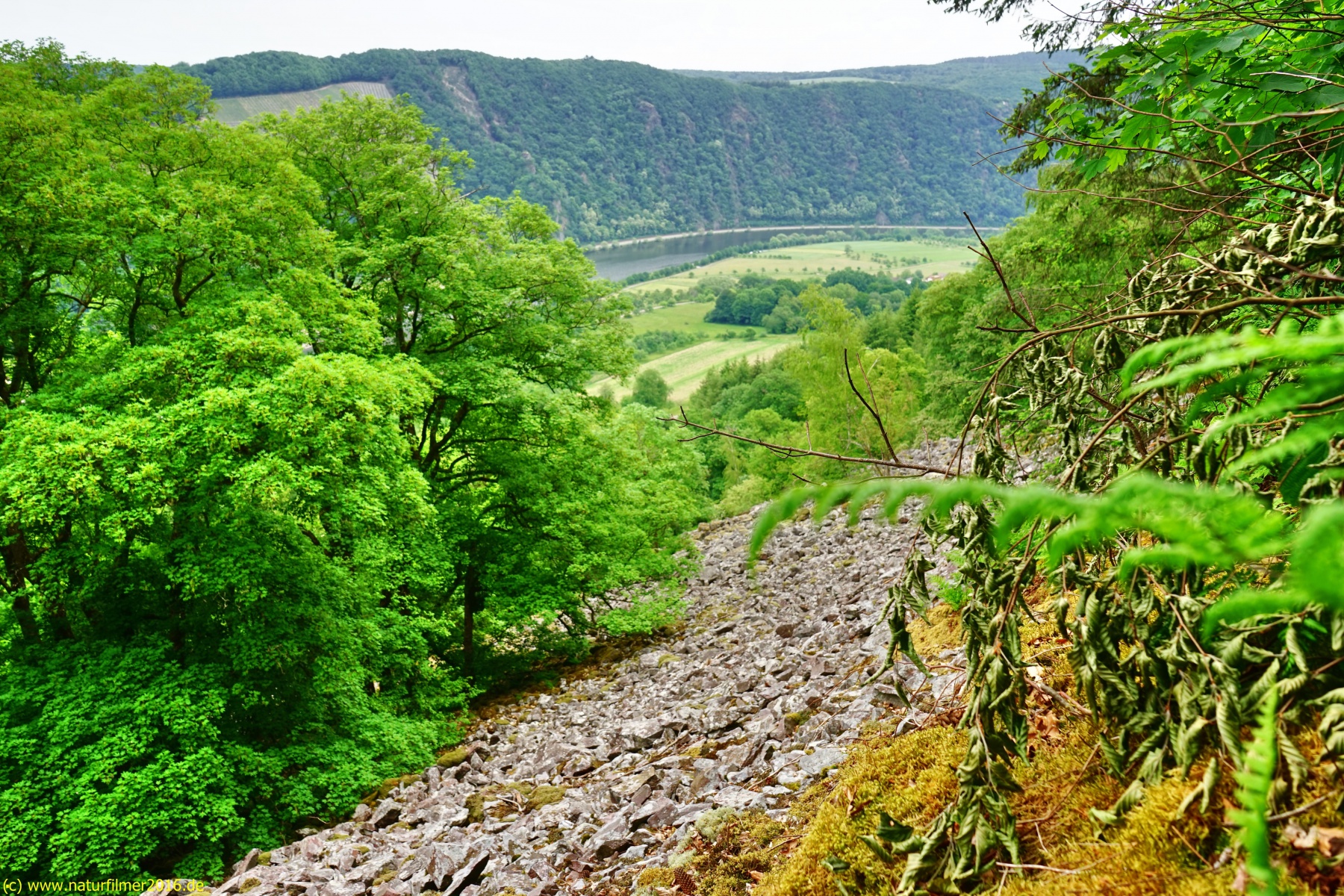 20200522_taben_rundwanderweg3_Color_4000er-32